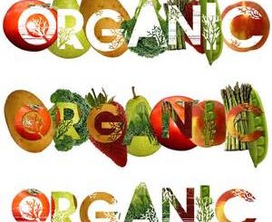 https://www.beelarong.org.au/whatson/2024/7/20/growing-organic-food