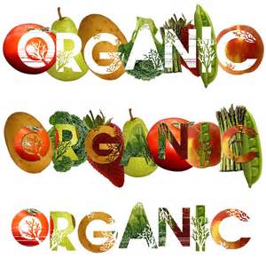 https://www.beelarong.org.au/whatson/2024/7/20/growing-organic-food